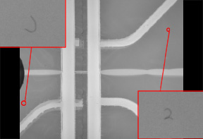 FOD Hair Identified
SHOWN: Foreign objects located within bag. In this case, human hair in multiple locations.